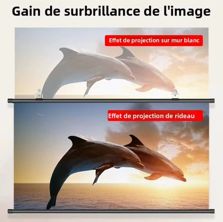 Toile pour vidéoprojecteur